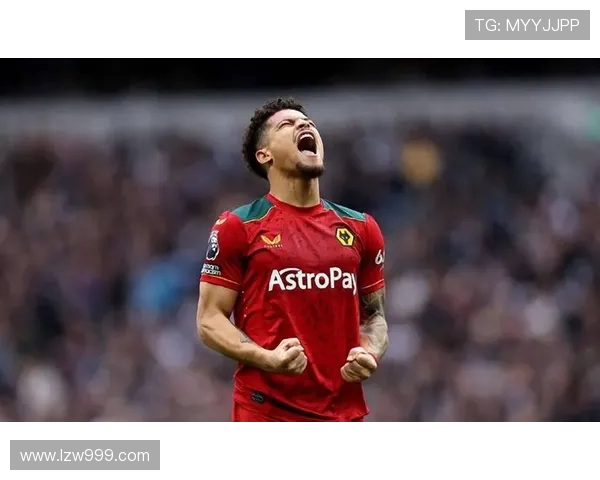 迪马济奥曝那不勒斯夏窗锁定狼队中场若昂戈麦斯成引援计划核心